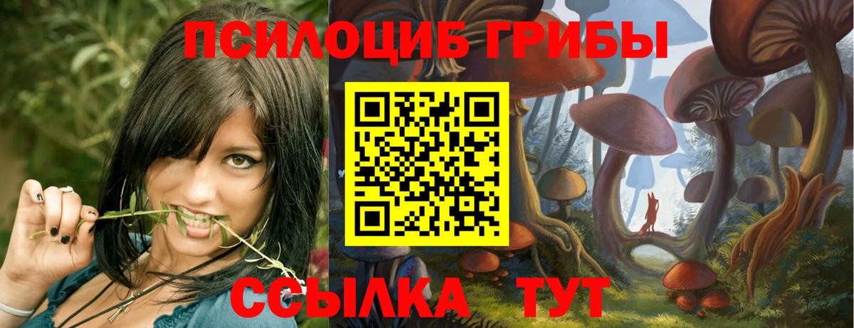 Псилоцибиновые грибы мухоморы Южно-Сахалинск